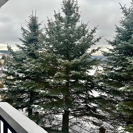 Golasowka Chalet *