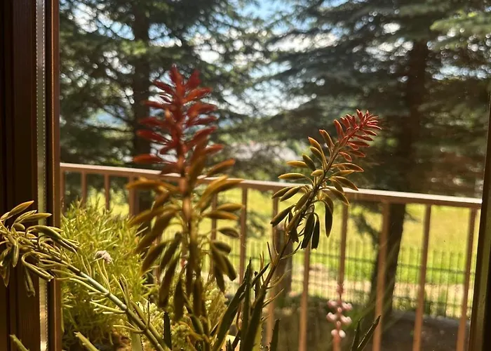 Golasówka Domek alpejski